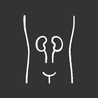 Sağlıklı böbrekler tebeşir simgesi. İnsan organı nın sağlığı yerinde. İnsanlar w