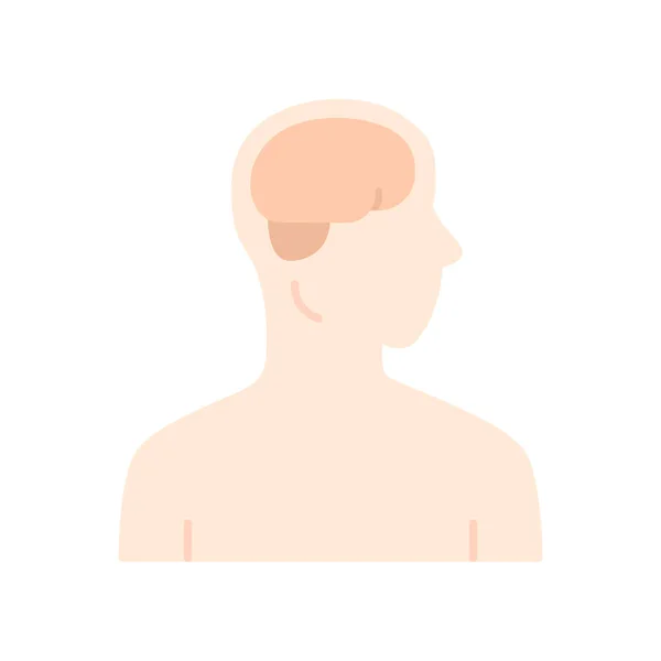健康的な脳フラットデザイン長い影の色のアイコン。人間の臓器 — ストックベクタ