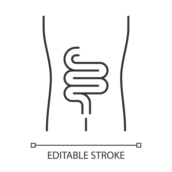 Icono lineal del intestino sano. Órgano humano en buena salud. Función — Vector de stock