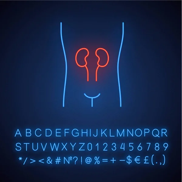 Friska njurar neonljus ikon. Mänskliga organ vid god hälsa. Wh — Stock vektor