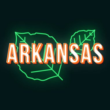 Arkansas vintage 3d vektör yazı. Retro kalın yazı tipi, yazı tipi. Pop art stilize metin. Eski okul tarzı neon ışık harfler. 90'lar, 80'ler afişi, afiş tasarımı. Yaprakları ile siyah renk arka plan