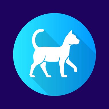 Cadı kedi mavi düz tasarım uzun gölge glyph simgesi. Büyücü evcil hayvan