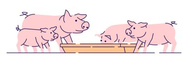 Domuzlar düz vektör illüstrasyon besleme. Hayvancılık, hayvancılık ve anahat ile üreme karikatür kavramı. Et üretim çiftliği. Pembe domuzyavruları beyaz arka plan üzerinde izole yeme