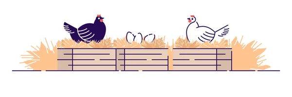 Καλλιέργεια πουλερικών επίπεδη απεικόνιση. Βιολογική κτηνοτροφία, hennery. Ιδέα κινουμένων σχεδίων κοτόπουλο αγρόκτημα με περίγραμμα απομονώνεται σε λευκό φόντο. Όρνιθες που μεταφέρουν αυγά σε φωλιές, κοτέτσι — Διανυσματικό Αρχείο