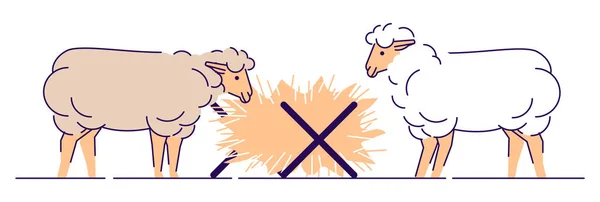 Sheeps äta hö platt vektor illustration. Boskapsskötsel, djurhållning Cartoon Concept med kontur. Produktion av fårull och lammkött isolerat designelement på vit bakgrund — Stock vektor
