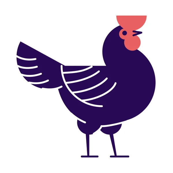 Εικόνα από τον κόκορα. Σκούρο μπλε καβλί απομονώνεται σε λευκό φόντο. Πτηνοτροφείο, hennery λογότυπο κινουμένων σχεδίων. Εγχώρια εκτροφή πτηνών, στοιχείο σχεδιασμού παραγωγής κρέατος κοτόπουλου με περίγραμμα — Διανυσματικό Αρχείο
