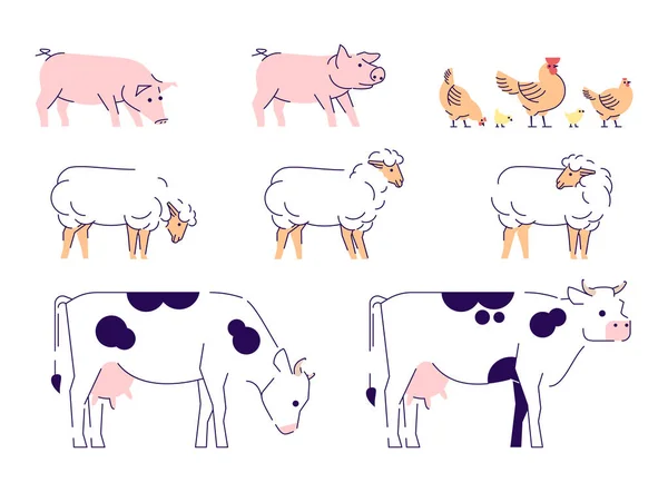 Set di illustrazioni vettoriali piatte per animali domestici. Allevamento, allevamento isolato elementi di design con contorno. Mucche, pecore, maiali e polli. Latteria, allevamento di pollame. Raccolta di animali da cortile — Vettoriale Stock