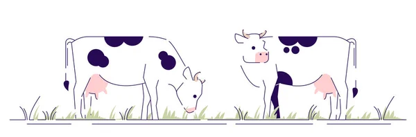 Cows on pasture flat vector illustration. Livestock, cattle farming, animal husbandry design element with outline. Dairy farm. Cartoon spotted cows grazing in field isolated on white background — Stock Vector