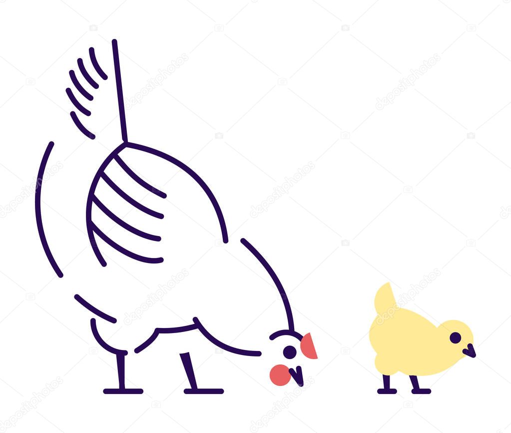 White hen with yellow chick pecking flat vector illustration. Domestic bird breeding concept. Mother chicken isolated design element with outline. Poultry farming, hennery symbol on white background