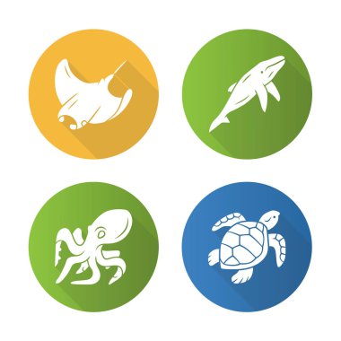 deniz hayvanı handdrawn simgesi 