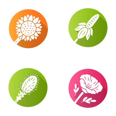 Yabani çiçekler düz tasarım uzun gölge glyph simgeleri ayarlayın. Helianthus, Kaliforniya haşhaş, Meksika şapkası, liatris. Çiçek açan kır çiçekleri, tarla çılmışı. Bahar çiçeği. Vektör siluet illüstrasyon