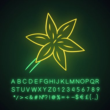 Ortak yıldız lily neon ışık simgesi. Çiçek açan kır çiçeği. Bahar çiçeği. Toxicoscordion fremontii bitki. Çayır çiçeği. Yıldız zigadene. Alfabe ile parlayan işaret, sayılar. Vektör izole illüstrasyon