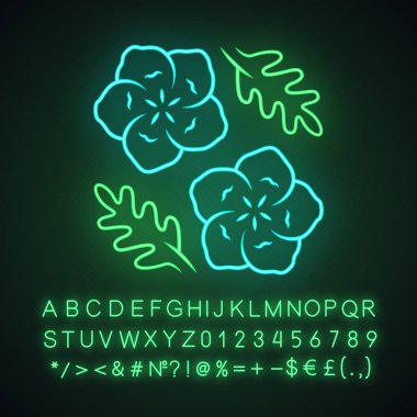 Bebek mavisi gözler neon ışık simgesi. Keten çiçek açan çiçek. Nemophila menziesii bahçe bitkisi. Mavi keten. Kır çiçeği çiçeği. Alfabe, sayılar ve semboller ile parlayan işareti. Vektör izole illüstrasyon