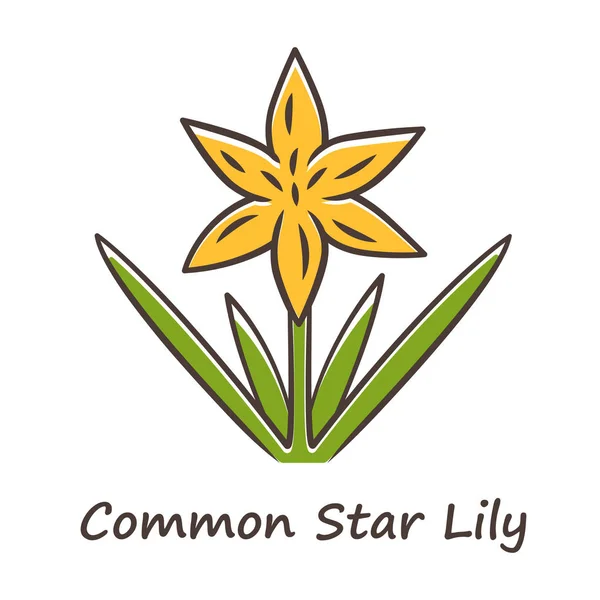 Estrella común lirio icono de color amarillo. Floreciente flor silvestre. Flor de primavera. Toxicoscordion fremontii inflorescencia de la planta. Meadow deathcamas nombre inscripción. Zigadeno estrella. Ilustración vectorial aislada — Vector de stock