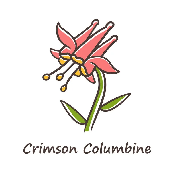 Icono de color carmesí columbina. Aquilegia formosa inflorescencia. Floreciente flor silvestre. Flor de primavera. Columbina roja. Planta herbácea silvestre con inscripción de nombre. Ilustración vectorial aislada — Vector de stock