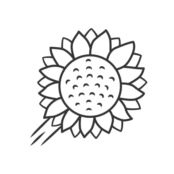 Helianthus liniowa ikona. Cienka linia ilustracji. Głowa słonecznika. Pole kwitnący kwiat. Symbol rolnictwa. Dzikie rośliny. Letni kwiat. Symbol konturu. Rysunek wektorowy na białym tle — Wektor stockowy
