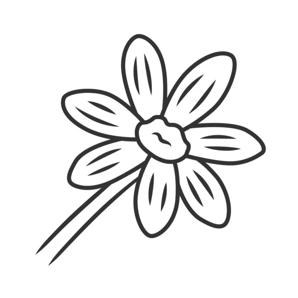 コアオプシス線形アイコン。ラドベッキアガーデンの花。カリアプシス植物。咲くヒナギク、カモミールワイルドフラワー。細い線のイラスト。輪郭記号。ベクトル分離アウトライン描画 — ストックベクタ