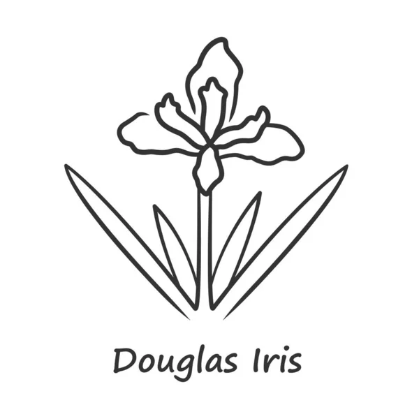 Douglas Iris planta icono lineal. Flor silvestre floreciente de California con inscripción de nombre. Flor de jardín, hierba. Inflorescencia de Iris douglasiana. Ilustración en línea delgada. Dibujo de contorno aislado vectorial — Vector de stock