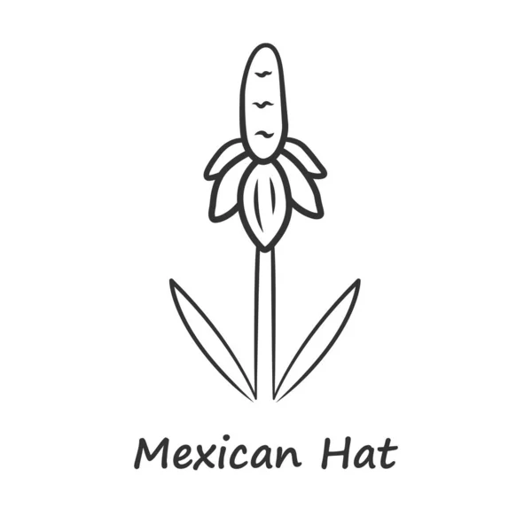 Мексиканская шляпа дикий цветок линейный значок. Прямой конфлоуэр прерий с именем. Ratibida columnifera растение соцветия. Цветущий полевой цветок. Тонкая линия иллюстрации. Векторный изолированный контур — стоковый вектор