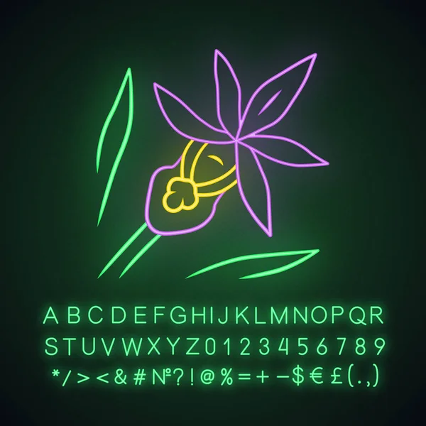 Calypso orchidea icona luce al neon. Fiore esotico, tropicale in fiore. Pantofola delle fate. Calypso bulbosa. Paphiopedilum di fiori selvatici. Fioritura di primavera. Alfabeto luminoso, numeri. Illustrazione isolata vettoriale — Vettoriale Stock