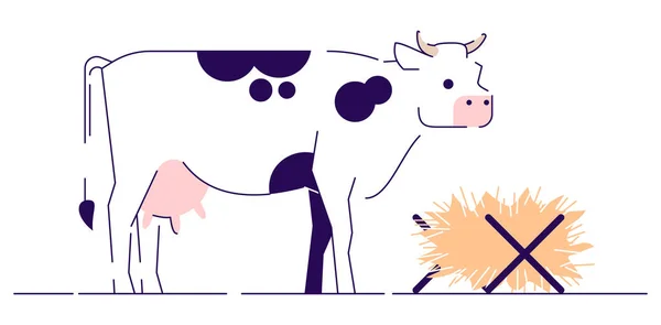 Αγελάδα που ταΐζει επίπεδη απεικόνιση. Κτηνοτροφία, εκτροφή βοοειδών, ζωοτεχνία και αναπαραγωγή κινουμένων σχεδίων με περίγραμμα. Γαλακτοκομική φάρμα. Πιτσιλωτή αγελάδα που τρώει το σανό πλευρική όψη απομονώνεται σε λευκό φόντο — Διανυσματικό Αρχείο