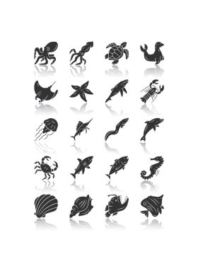Deniz hayvanları gölge siyah glyph simgeleri ayarlayın bırakın. Kaplumbağa, denizanası, ıstakoz, paten, kelebek balığı. Yüzen balık. Sualtı vahşi yaşamı. Okyanus sakinleri. Su canlıları. Yalıtılmış vektör çizimleri