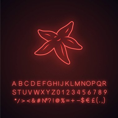 Denizyıldızı neon ışık simgesi. Tropikal omurgasız yumuşakça. Yıldız ş