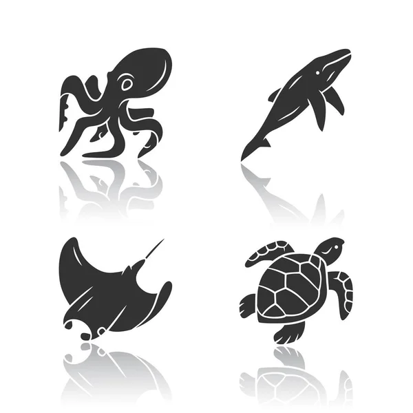 Mundo submarino gota sombra negro glifo iconos conjunto. Pulpo nadador, calamar, tortuga, ballena. Animales marinos, fauna submarina. Fauna marina. Criaturas acuáticas. Ilustraciones vectoriales aisladas — Vector de stock