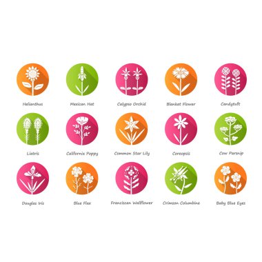 Yabani çiçekler düz tasarım uzun gölge glyph simgeleri ayarlayın. Yabani çiçekler. Bahar çiçeği. İsimleri olan Kaliforniya kır çiçekleri. Bahçe açan bitkiler. Botanik bohça. Vektör siluet illüstrasyon