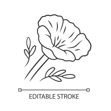 Kaliforniya haşhaş lineer simgesi. İnce çizgi çizimi. Papaver rhoeas. Mısır gülü açan kır çiçeği. Otsu bitkiler. Tarla ortak haşhaş. Kontur sembolü. Vektör izole çizim. Kullanılabilir kontur