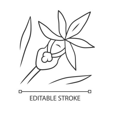 Calypso orkide doğrusal simgesi. Egzotik, tropik çiçek açan çiçek. Peri terliği. Calypso bulbosa. Kır çiçeği paphiopedilum. İnce çizgi çizimi. Kontur sembolü. Vektör izole çizim. Kullanılabilir kontur