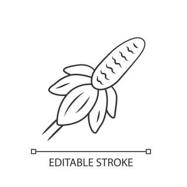 Meksika şapka vahşi çiçek lineer simgesi. Dik çayır koniçiçeği. Ratibida columnifera bitki. Çiçek açan kır çiçeği. İnce çizgi çizimi. Kontur sembolü. Vektör izole çizim. Kullanılabilir kontur