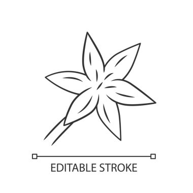Ortak yıldız lily lineer simgesi. Çiçek açan kır çiçeği. Bahar çiçeği. Toxicoscordion fremontii bitki. Yıldız zigadene. İnce çizgi çizimi. Kontur sembolü. Vektör izole çizim. Kullanılabilir kontur