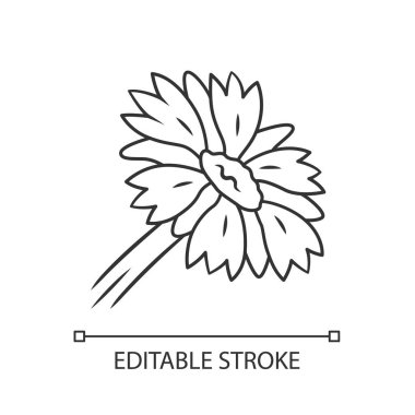 Battaniye çiçek lineer simgesi. Gaillardia aristata bahçe bitkisi. Arizona kayısısı. Çiçek açan kır çiçeği. Yaz çiçeği. İnce çizgi çizimi. Kontur sembolü. Vektör izole çizim. Kullanılabilir kontur