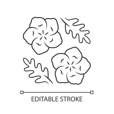 Bebek mavisi gözler lineer simge. İnce çizgi çizimi. Keten çiçek açan çiçek. Nemophila menziesii bitki. Mavi keten. Kır çiçeği çiçeği. Kontur sembolü. Vektör yalıtılmış anahat çizimi. Kullanılabilir kontur