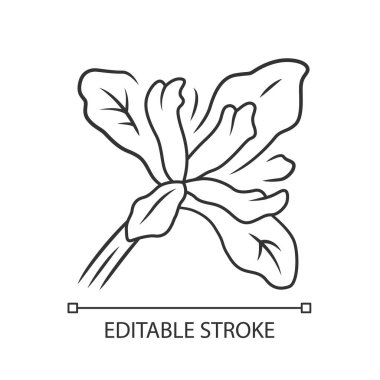 Douglas iris bitki doğrusal simgesi. Kaliforniya çiçek açan kır çiçeği. Bahçe çiçeği, oduz. Iris douglasiana. Bahar çiçeği. İnce çizgi çizimi. Kontur sembolü. Vektör izole çizim. Kullanılabilir kontur