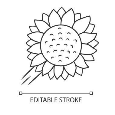 Helianthus doğrusal simge. Ayçiçeği kafası. Tarla çiçek açan çiçek. Tarım sembolü. Vahşi bitki. Yaz çiçeği. İnce çizgi çizimi. Kontur sembolü. Vektör yalıtılmış anahat çizimi. Kullanılabilir kontur