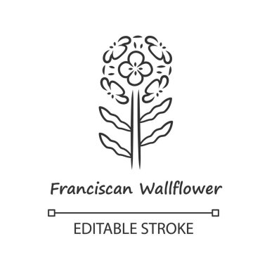 Fransisken wallflower lineer simgesi. Ad yazımı ile bahçe çiçekli bitki. Erysimum fransiskanyum çiçeklenme. İnce çizgi çizimi. Kontur sembolü. Vektör izole çizim. Kullanılabilir kontur