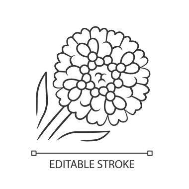 Candytuft lineer simgesi. İnce çizgi çizimi. Aster bahçe çiçeği. İberis dökmeyen çok yıllık bitki. Çiçek açan kır çiçeği. Bahar çiçeği. Kontur sembolü. Vektör izole çizim. Kullanılabilir kontur