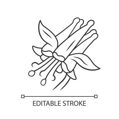 Crimson columbine lineer simgesi. İnce çizgi çizimi. Aquilegia formosa. Çiçek açan kır çiçeği. Kırmızı columbine. Yabani otsu bitki. Kontur sembolü. Vektör yalıtılmış anahat çizimi. Kullanılabilir kontur