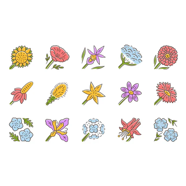 야생 꽃 색상 아이콘 설정입니다. 봄 꽃입니다. 캘리포니아 야생화. 정원 장식 개화 식물입니다. 식물 묶음. 초원과 필드 꽃, 잡초. 격리된 벡터 일러스트레이션 — 스톡 벡터