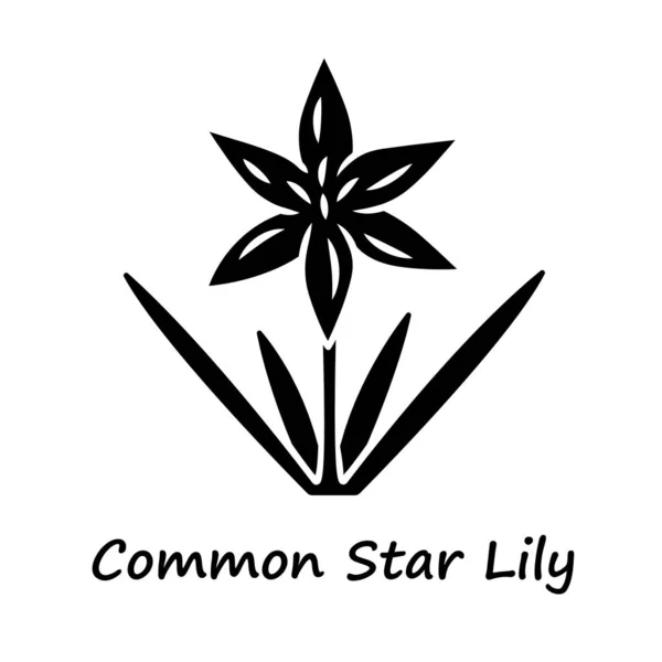 Icono del glifo de la estrella común. Floreciente flor silvestre. Flor de primavera. Planta de Toxicoscordion fremontii. Nombre Meadow Deathcamas. Zigadeno estrella. Símbolo de silueta. Espacio negativo. Ilustración aislada vectorial — Vector de stock