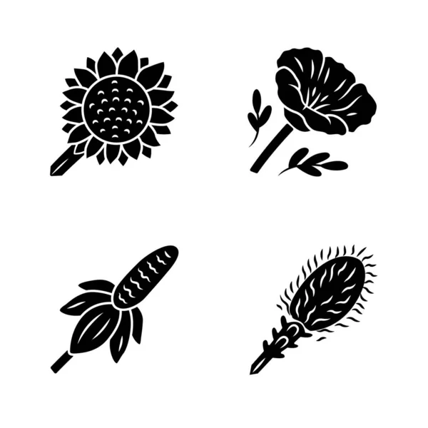 Conjunto de iconos de glifo de flores silvestres. Helianthus, amapola de California, sombrero mexicano, liatris. Flores silvestres florecientes, hierba. Calflora. Flor de primavera. Símbolos de silueta. Ilustración aislada vectorial — Vector de stock