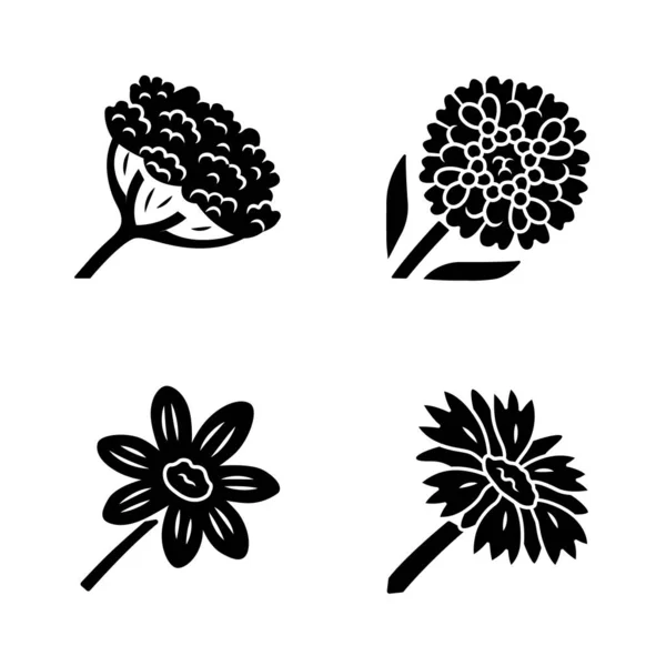 Wildblumen-Glyphen-Symbole gesetzt. Kuh Pastinaken, Zuckerwatte, Coreopsis, Decke Blume. blühende Wildblumen, Unkraut. Feld, Wiese krautige Pflanzen. Silhouettensymbole. Vektor isolierte Abbildung — Stockvektor