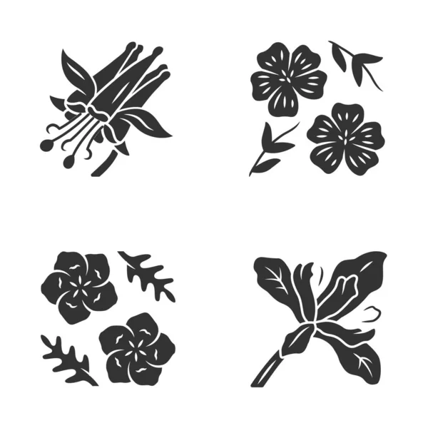 Fleurs sauvages icônes glyphe ensemble. Colombine pourpre, linum, yeux bleus bébé, iris douglas. Fleurs sauvages en fleurs, mauvaises herbes. Floraison printanière. Plantes cultivées. Symboles de silhouette. Illustration vectorielle isolée — Image vectorielle