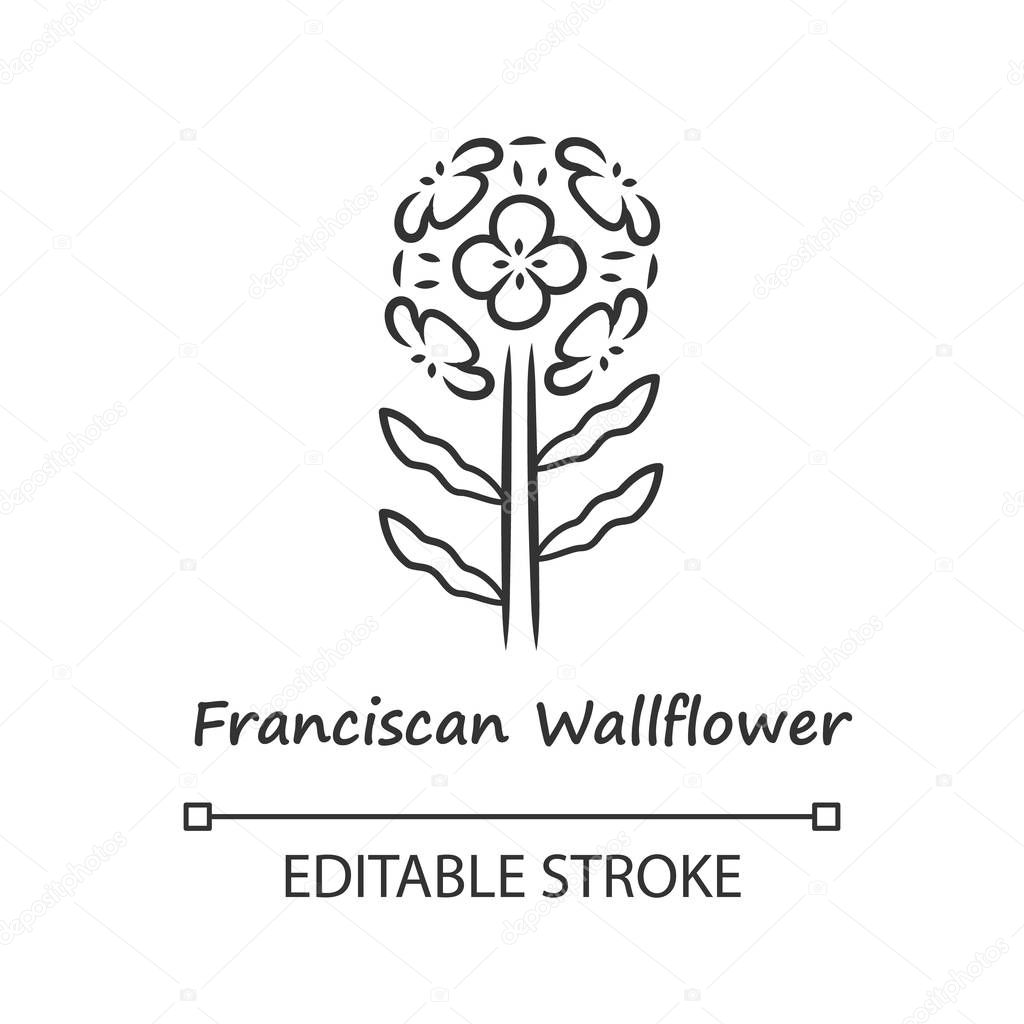 Franciscan wallflower linear icon. Garden flowering plant with name inscription. Erysimum franciscanum inflorescence. Thin line illustration. Contour symbol. Vector isolated drawing. Editable stroke