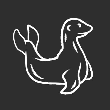 Mühür tebeşir simgesi. Kısılmış memeli. Antarktika deniz aslanı. Kutup faunası. Oşinografi ve zooloji. Yüzgeçli sucul okyanus hayvanı. Vahşi yaşam yaratığı. Yalıtılmış vektör tebeşir tahtası çizimi