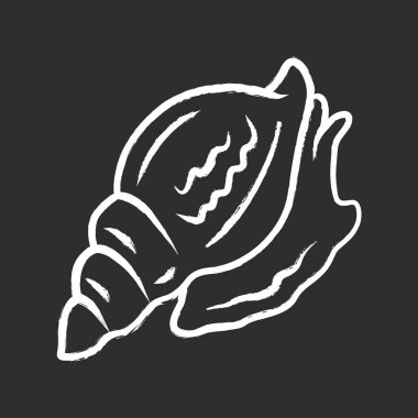 Triton tebeşir simgesi. Spiral kabuklu büyük yumuşakça. Tropikal deniz kabuğu. Deniz salyangozu. Sualtı dünyası sakini. Yırtıcı su yumuşakçası. Deniz yaratığı. Yalıtılmış vektör tebeşir tahtası çizimi