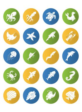 Deniz hayvanları düz tasarım uzun gölge glyph simgeleri ayarlayın. Kaplumbağa, denizanası, ıstakoz. Yüzme yumuşakça ve balık. Sualtı vahşi yaşamı. Okyanus sakinleri. Su canlıları. Vektör siluet illüstrasyon