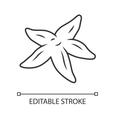 Denizyıldızı lineer simgesi. Tropik sualtı yaratığı. Omurgasız yumuşakça. Yıldız şekilli akvaryum organizması. İnce çizgi çizimi. Kontur sembolü. Vektör yalıtılmış anahat çizimi. Kullanılabilir kontur